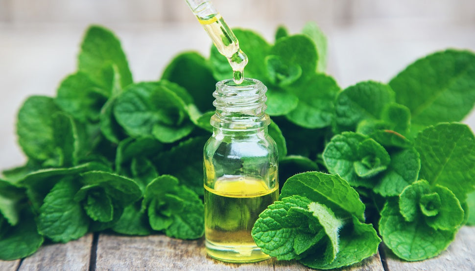 Peppermint Essential Oil: 100% Pure & Therapeutic