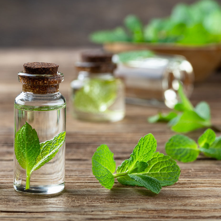 Peppermint Essential Oil:  100% Pure & Therapeutic